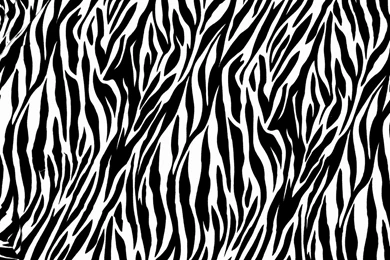 Black And White Zebra Print Wallpapers   Widescreen HD Wallpapers