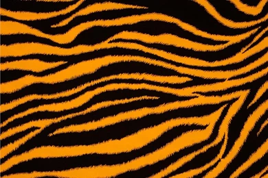 Tiger Print Pictures : Free Coloring Pages   Viewcoloring