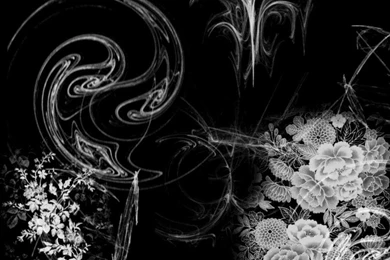 YinYang BackGround By XioceneX On DeviantArt