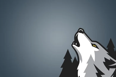 Minnesotatimberwolves DeviantArt