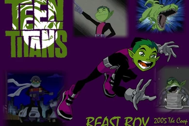 Beast Boy   Beast Boy Wallpapers (9734342)   Fanpop