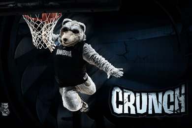 Minnesota Timberwolves Mascot Crunch!