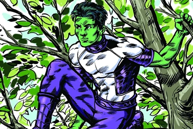 2 Beast Boy HD Wallpapers