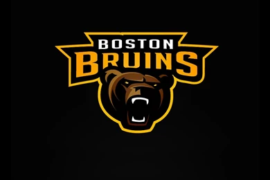 Boston Bruins Wallpapers   Wallpapers Cave