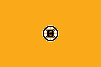 Bruins HD Wallpapers