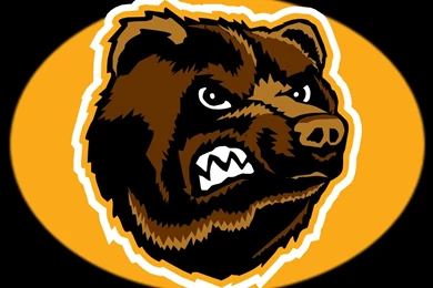 Boston Bruins Wallpaper Backgrounds