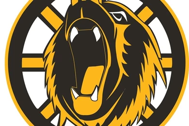 Boston Bruins Concept Logo By Broken bison On DeviantArt