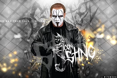 The Icon   Sting, Wallpapers By Withmodesty On DeviantArt