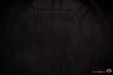 Boston Bruins Logo Wallpapers   480057