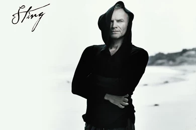 Sting Sting Wallpapers (59366) Fanpop