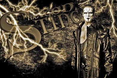 WWE HD Wallpapers Free: Sting Hd Wallpapers Free Download