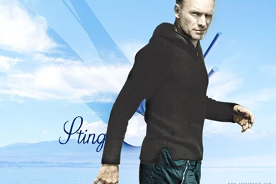 Sting   Sting Wallpapers (59370)   Fanpop