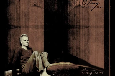 Sting   Sting Wallpapers (30571935)   Fanpop