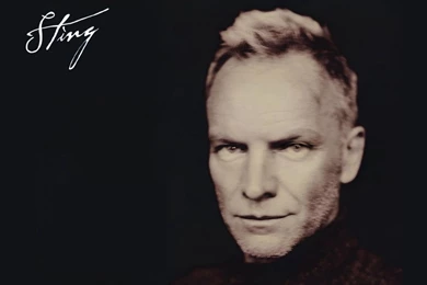 Sting Sting Wallpapers (30571932) Fanpop