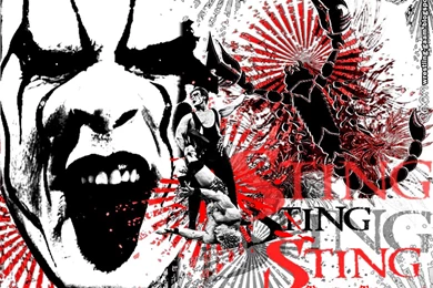 Sting Wcw Quotes. QuotesGram