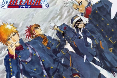 Snow Bleach Kurosaki Ichigo Ichimaru Gin Kuchiki Rukia Hitsugaya ...