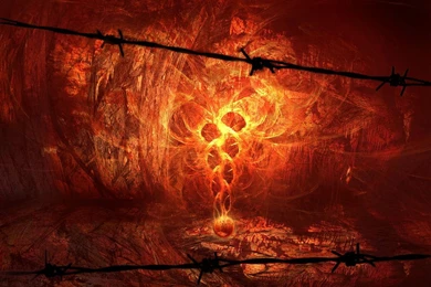 71 Orange HD Wallpapers