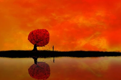 1280x800 Isolated Man Desktop PC And Mac Wallpapers