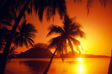 Sunset Beach HD Wallpapers