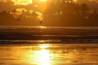 Beach Scene Sunrise HD Desktop Wallpapers : Widescreen : High ...