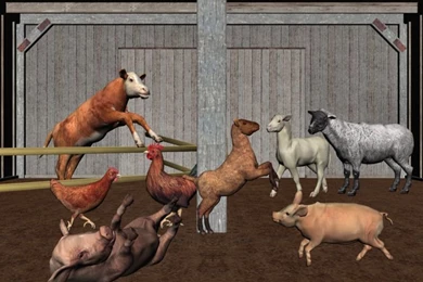 Animal Themes Wallpaper: Barn Dance