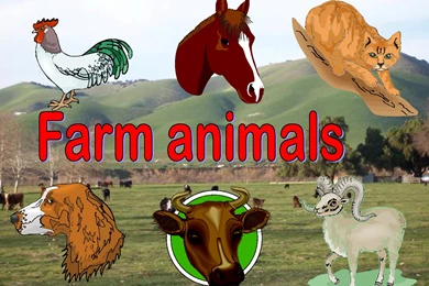 Beautiful Animal Wallpapers &Amp; Animal Wallpapers &Amp; Random ...