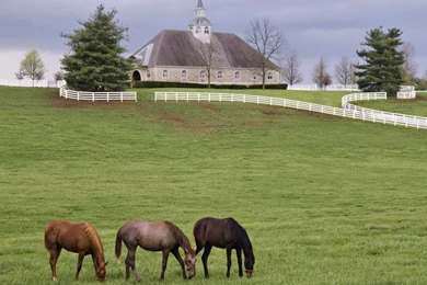 Hd Wallpapers 1240x1024   Wallpapers Toplist