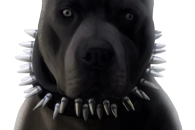 Bluenose   DeviantArt