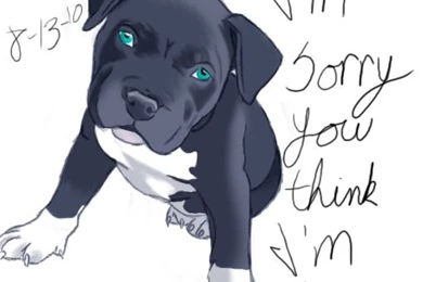 DeviantArt: More Like American Blue Nose Pitbull By TheNekohimeChan