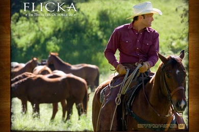 Tim McGraw In Flicka Wallpapers 2 1024   Flicka Wallpapers (26959917 ...