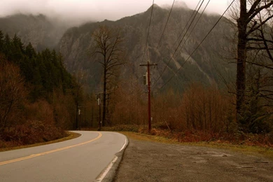 I Thought Yall Would Enjoy This Twin Peaks Inspired Wallpapers ...