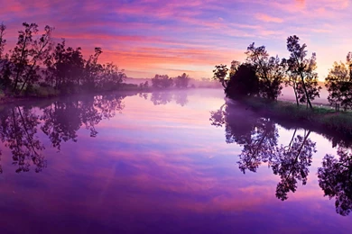 Purple Backgrounds   1590735