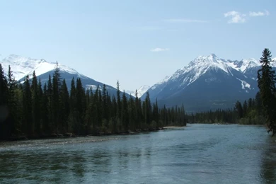 Twin Peaks Wallpapers   31982