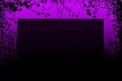 Pretty Pur Website Backgroung Image.jpg