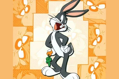 Funny Bugs Bunny Cartoon 23 Desktop Wallpapers   Funnypicture.org