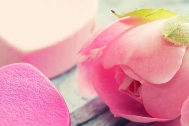 Heart Flower Tenderness Pink iPhone 6 Wallpapers Download