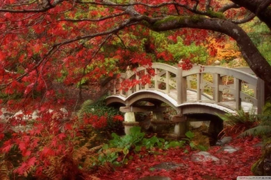 Download University Campus Wallpapers 1920x1080