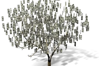 3D Money Tree   YouTube