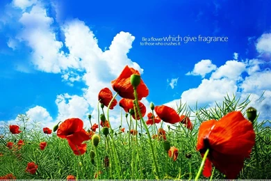 Nature Wallpapers Santabanta   Wallpapers Cave