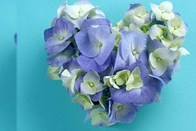 Santabanta Wallpapers 157008