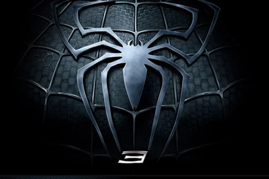 Spider Man 3 (2007) 1024x768 Wallpapers 15   Wallcoo.net