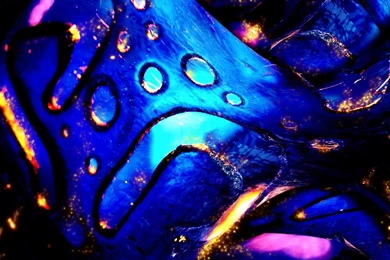 Creative Multi Color Photo Wallpapers.jpg