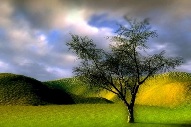 Www Santabanta Com Wallpapers Nature