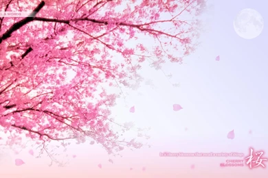 Reviving Threadcoslike Pretty Things Wallpapers   (