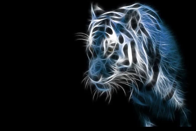 Best Animated Wallpapers   Newwallpapershits.com