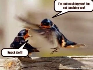 Funny All Wallpapers