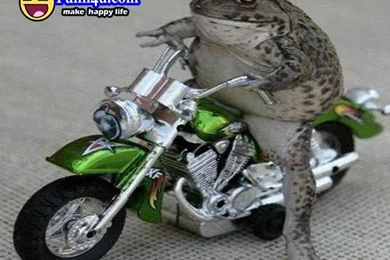 New Funny Bike Wallpapers