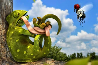 New Funny Wallpapers ~ Cinelegend