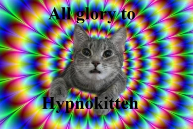 Funny Computer Wallpapers   Wallpapers Cave