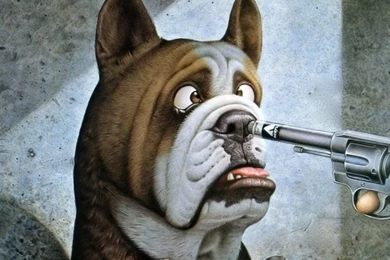 free new funny wallpapers